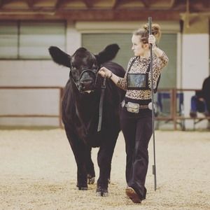 Meet your Posher, Paige